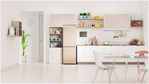 Холодильник Indesit ITR 4160 E Бежевый 257л