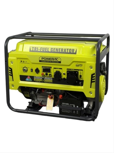 Генератор Powerac PR11000 Eco+ Max Winter 11 кВт Бензин/Газ/Пропан/Метан Электростартер